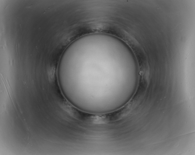 X0000112140660200908071057