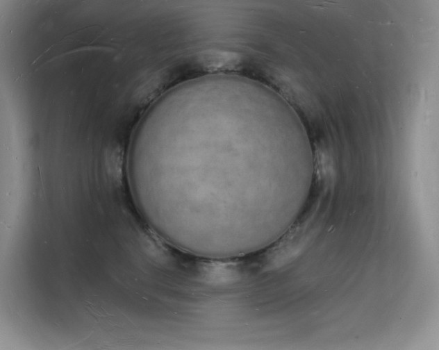 X0000112140664200908071057