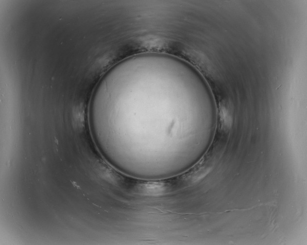 X0000112140668200908071057