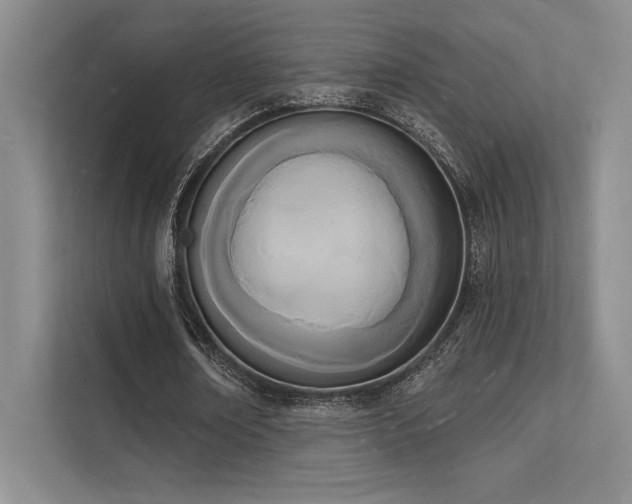 X0000112140674200908071056