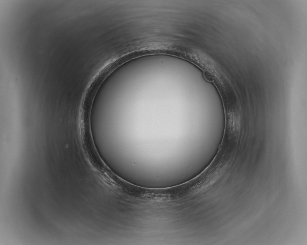 X0000112140676200908071056
