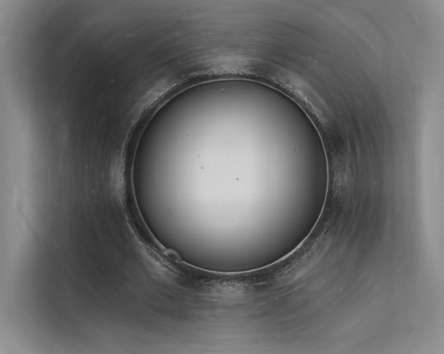 X0000112140677200908071056