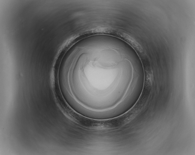 X0000112140678200908071056