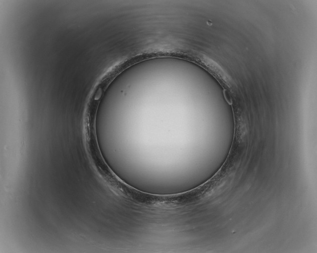 X0000112140680200908071056