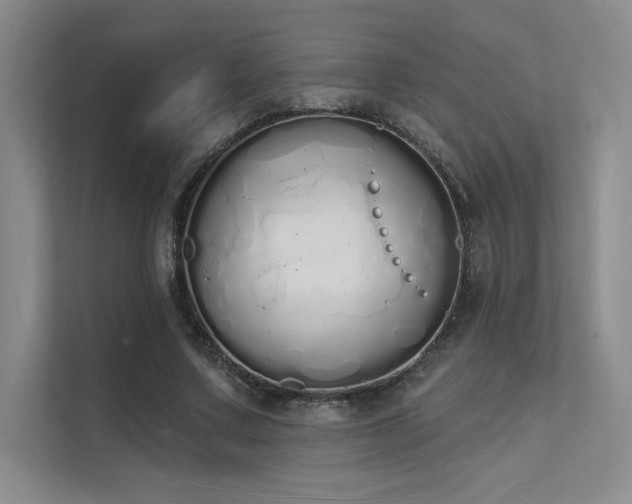 X0000112140683200908071056
