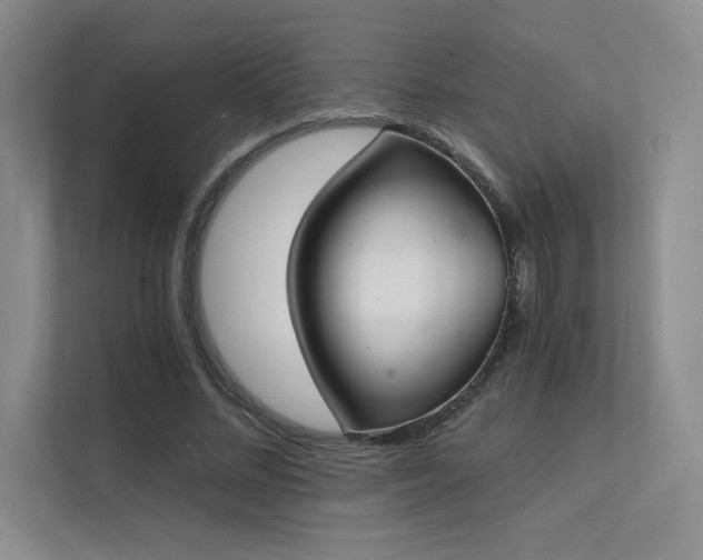 X0000112140684200908071056