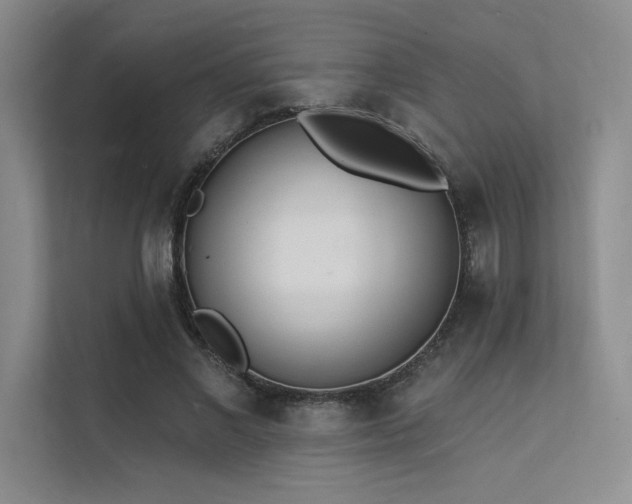 X0000112140685200908071056