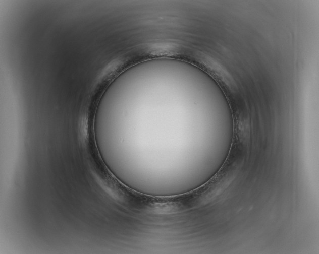 X0000112140686200908071056