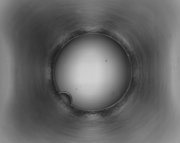 X0000112140689200908071056