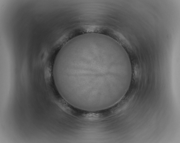X0000112140691200908071056