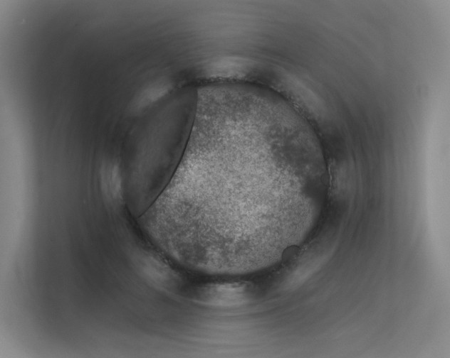 X0000112140692200908071056
