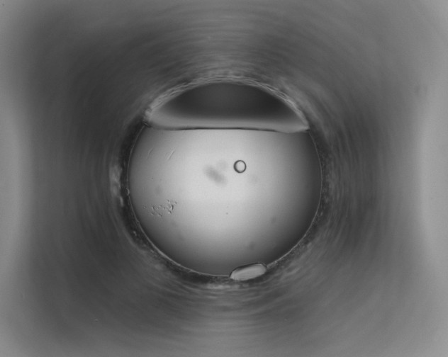 X0000112140693200908071056