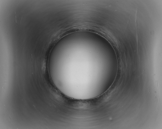 X0000112140697200908071056