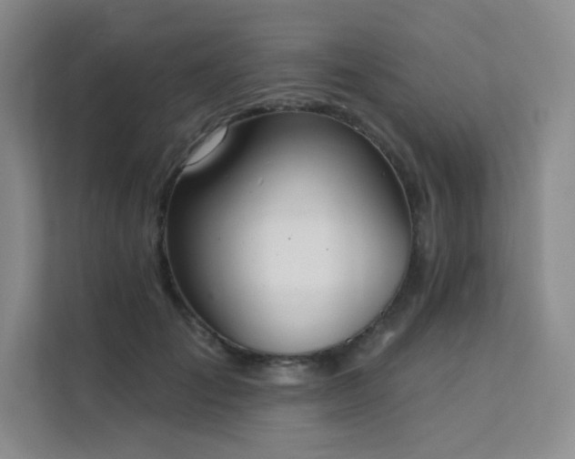 X0000112140701200908071056