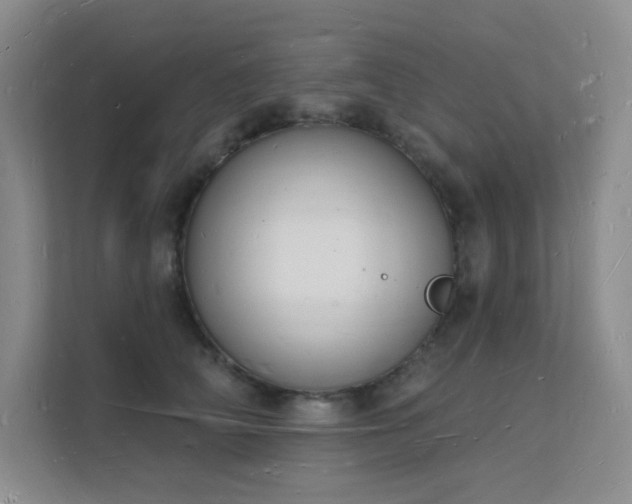 X0000112140706200908071056