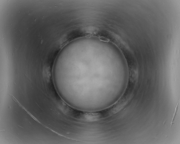X0000112140707200908071056