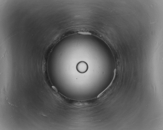 X0000112140712200908071056