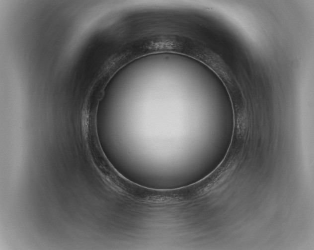 X0000112140722200908071055