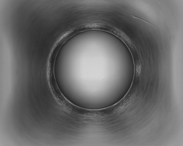 X0000112140724200908071055