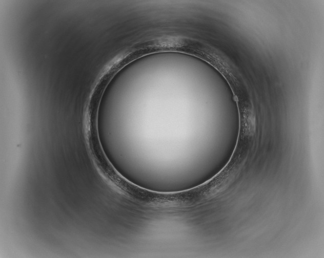 X0000112140726200908071055