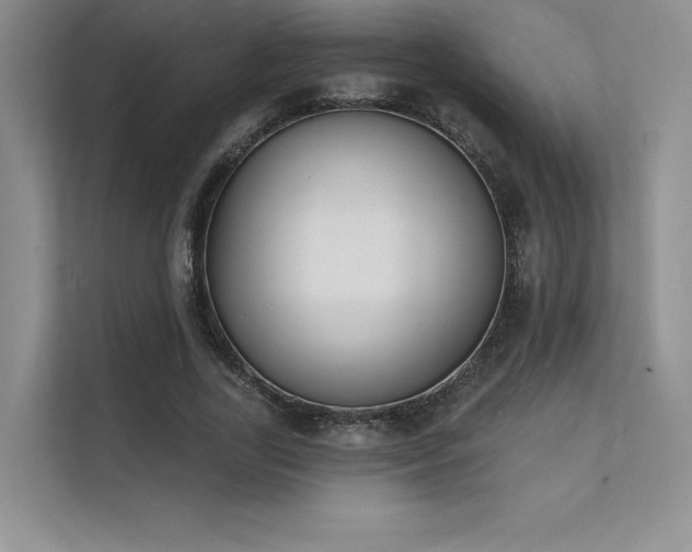 X0000112140731200908071055