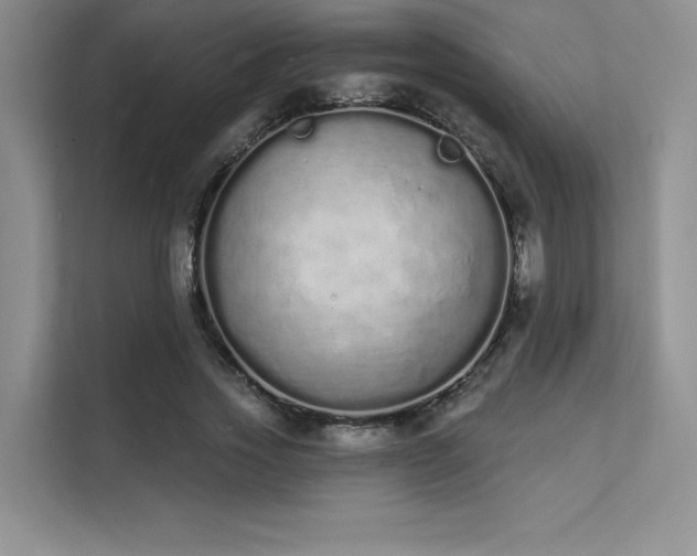 X0000112140733200908071055