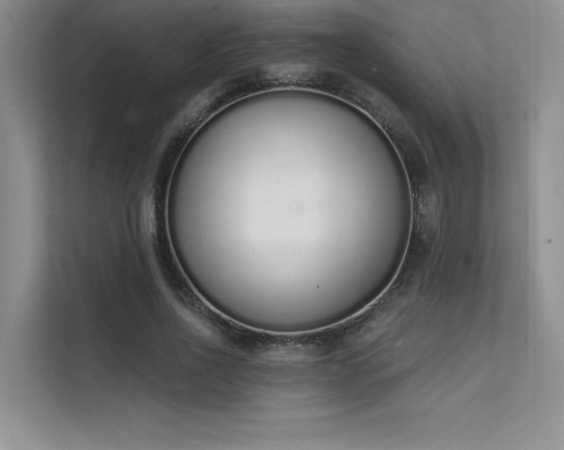 X0000112140734200908071055