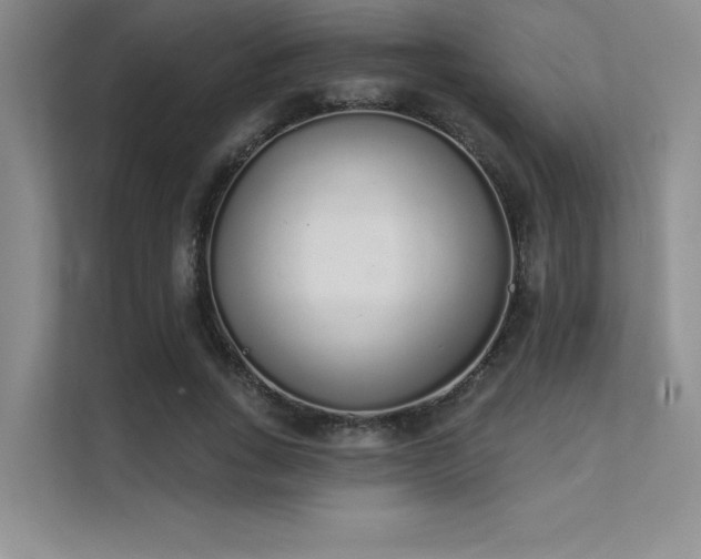 X0000112140735200908071055