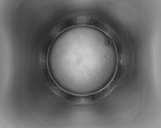 X0000112140737200908071055