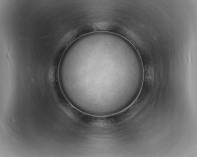 X0000112140738200908071055