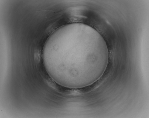 X0000112140741200908071055