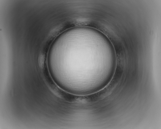 X0000112140742200908071055