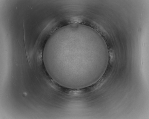 X0000112140745200908071055