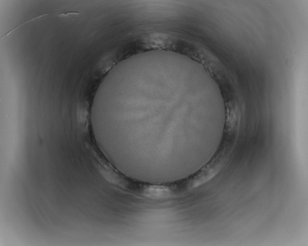 X0000112140749200908071055