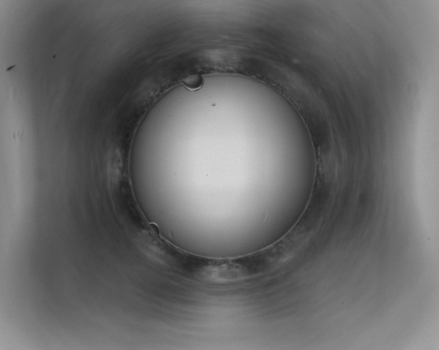 X0000112140752200908071055