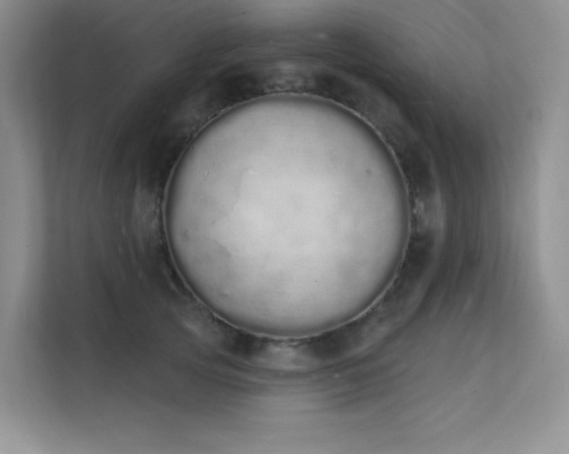 X0000112140753200908071055