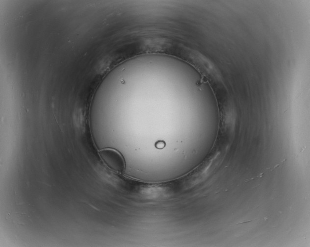 X0000112140759200908071055