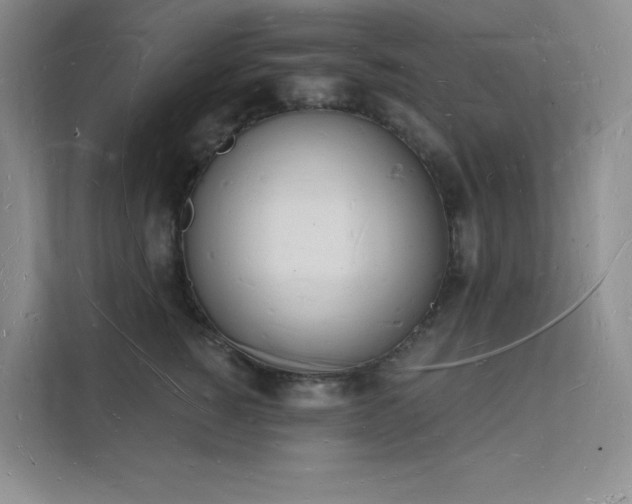 X0000112140760200908071055