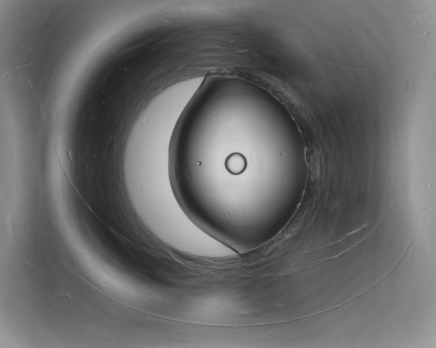X0000112140764200908071056