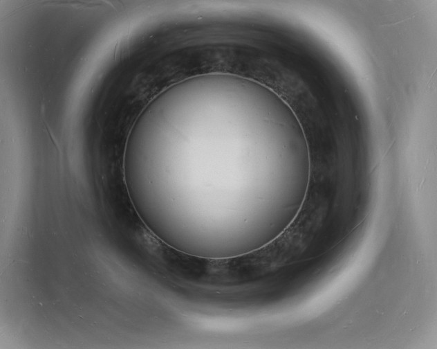 X0000112140766200908071056