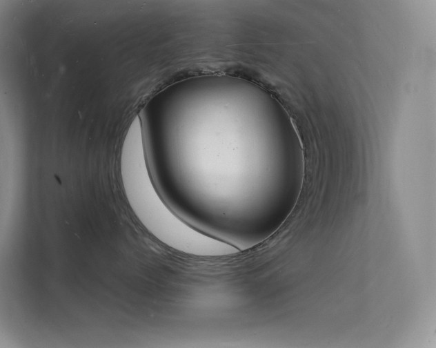 X0000112140768200908071056