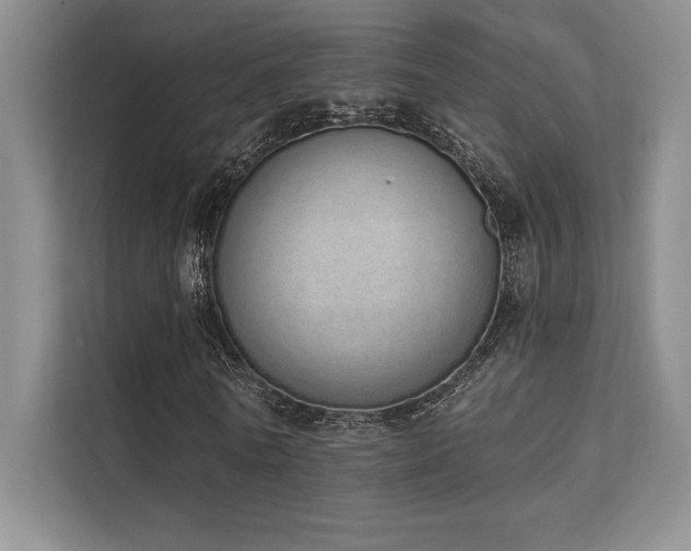 X0000112140770200908071055