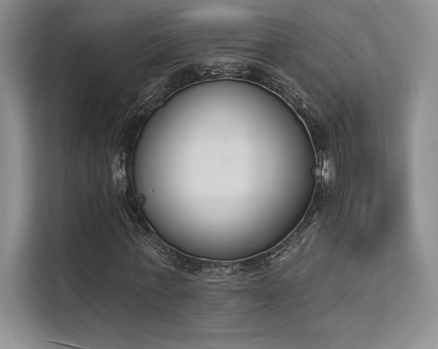 X0000112140771200908071055
