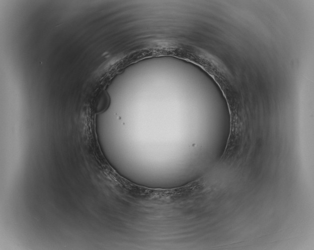 X0000112140773200908071055