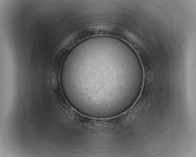 X0000112140774200908071055