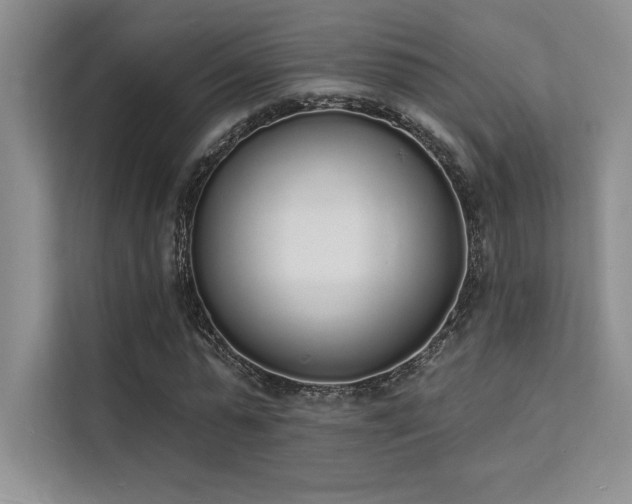 X0000112140775200908071055