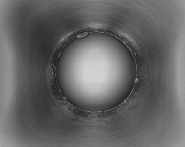 X0000112140776200908071055