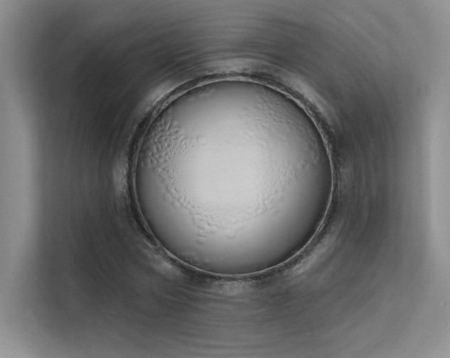 X0000112140778200908071055