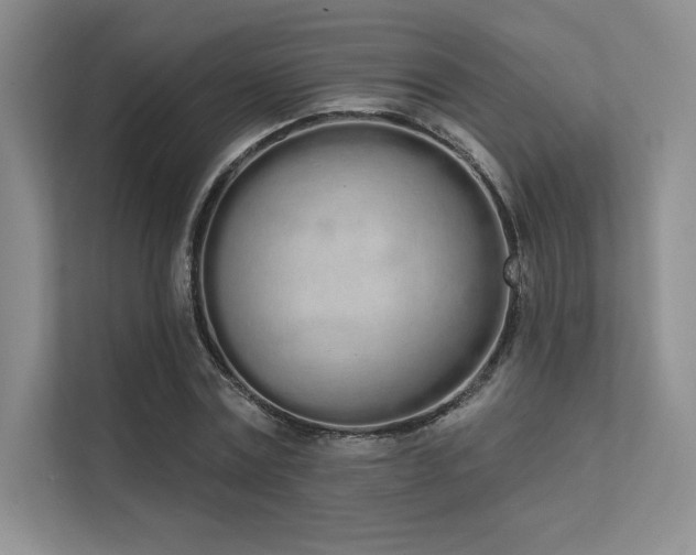 X0000112140779200908071055