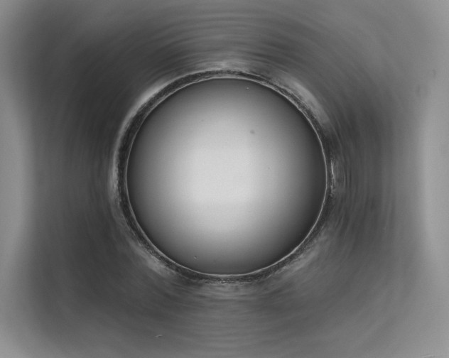 X0000112140780200908071055